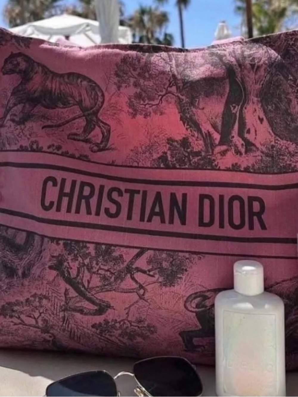 Dior Pink Toile Print Canvas Tote - Picture 6 of 9